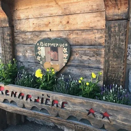 Hotel Chalet-hotel Starlight Morzine