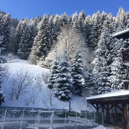 Chalet-hotel Starlight Morzine